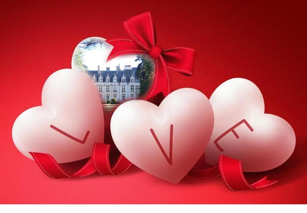 Charmant Studio Au Calme Tout Confort Dans Chateau Neo Gothique Proche Zenith Comet Orleans Parking Voiture Gratuit Wifi Haut Debit Rue Des Montees 外观 照片