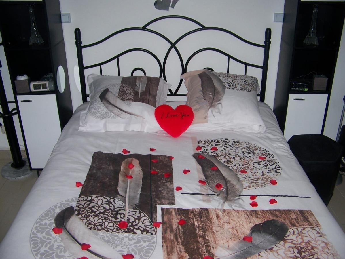 Charmant Studio Au Calme Tout Confort Dans Chateau Neo Gothique Proche Zenith Comet Orleans Parking Voiture Gratuit Wifi Haut Debit Rue Des Montees 外观 照片