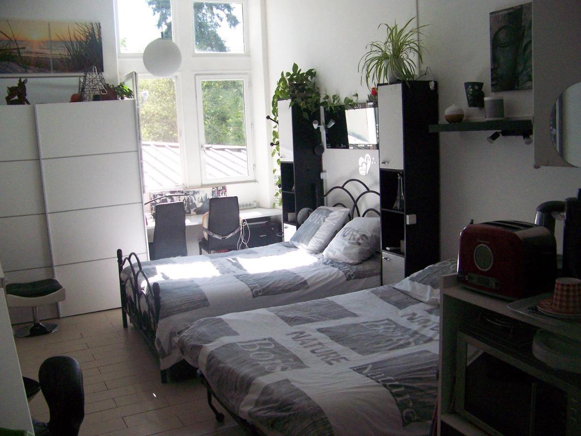 Charmant Studio Au Calme Tout Confort Dans Chateau Neo Gothique Proche Zenith Comet Orleans Parking Voiture Gratuit Wifi Haut Debit Rue Des Montees 外观 照片