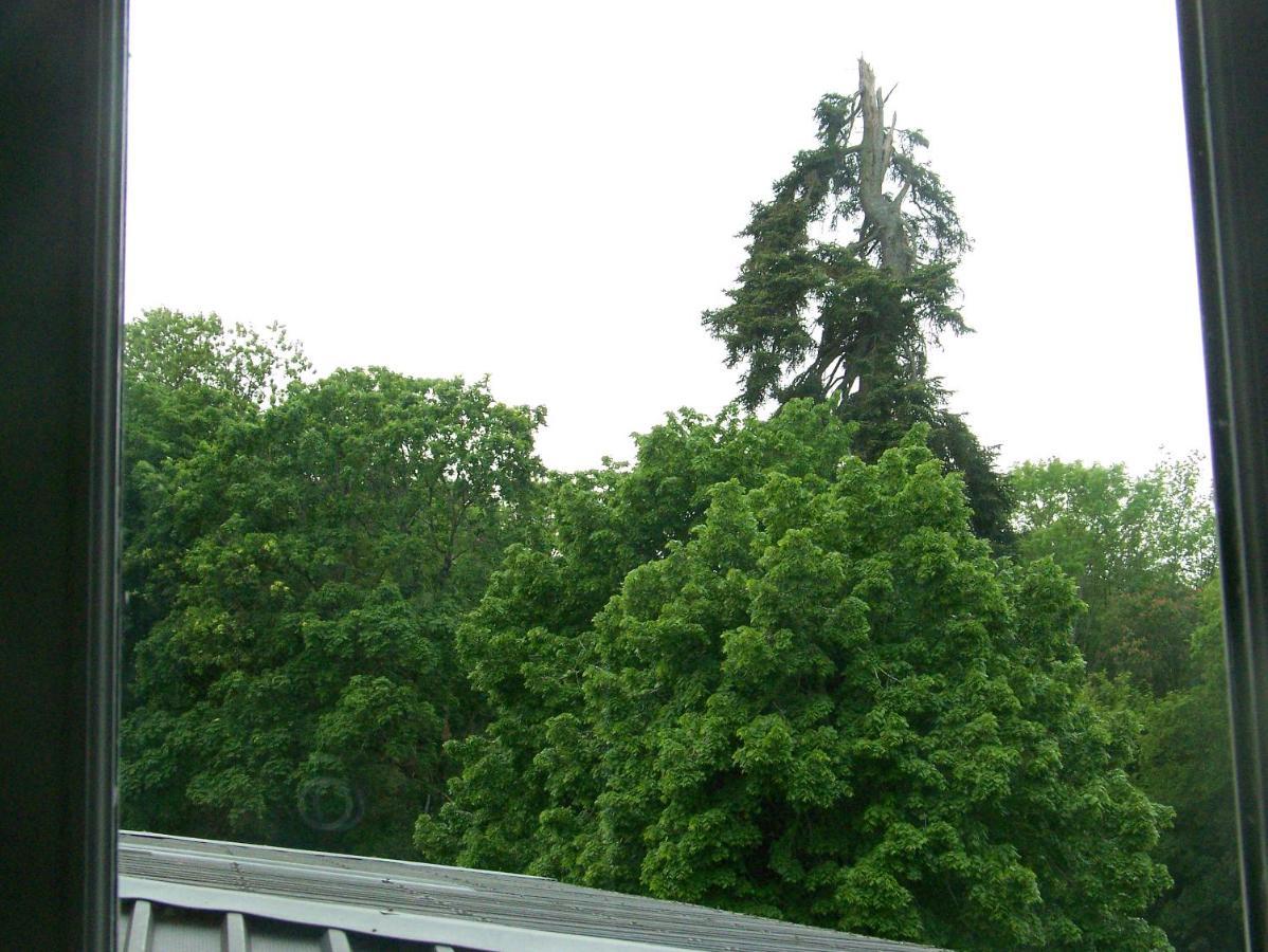 Charmant Studio Au Calme Tout Confort Dans Chateau Neo Gothique Proche Zenith Comet Orleans Parking Voiture Gratuit Wifi Haut Debit Rue Des Montees 外观 照片
