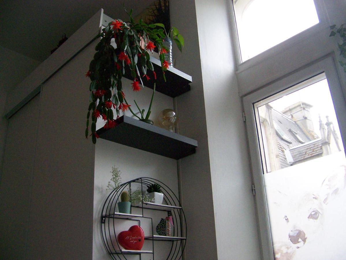 Charmant Studio Au Calme Tout Confort Dans Chateau Neo Gothique Proche Zenith Comet Orleans Parking Voiture Gratuit Wifi Haut Debit Rue Des Montees 外观 照片